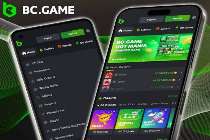 Complete Guide to BC.Game Registration Process